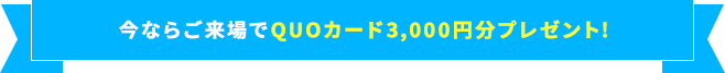 今ならご来場でQUOカード3,000円分プレゼント!