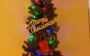 クリスマス見学会