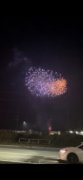 夏の思い出