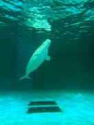 10年ぶりの水族館