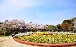 市川市の穴場スポット