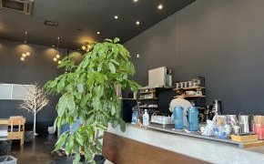 意外な組み合わせ