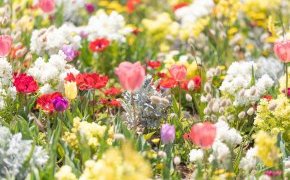 『春は花に聴き~』