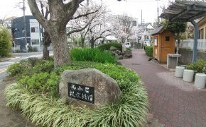 会社の周りを歩いていたら…