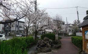 ダイエット始めました！