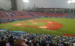 野球観戦