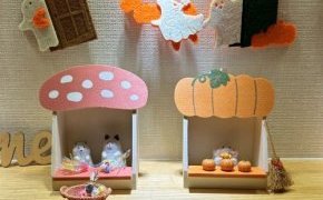 ニッチ紹介🎑🎃