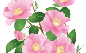 師走に咲く花