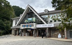 建築資材と森林浴