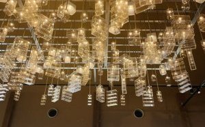 撮りたくなるのはなぜ？