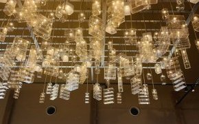 撮りたくなるのはなぜ？