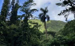 息抜きは必要ですよね