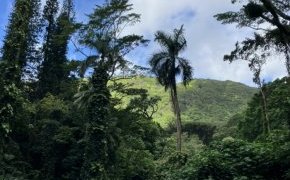 息抜きは必要ですよね