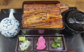 腰掛けるウナギの美しさ