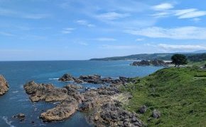 のんびりした夏休み