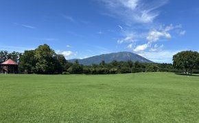 とある夏の風景