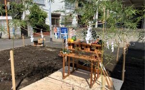 4月の空と若竹・・・ときどき紙垂（しで）