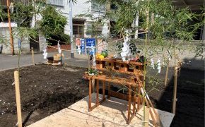 4月の空と若竹・・・ときどき紙垂（しで）